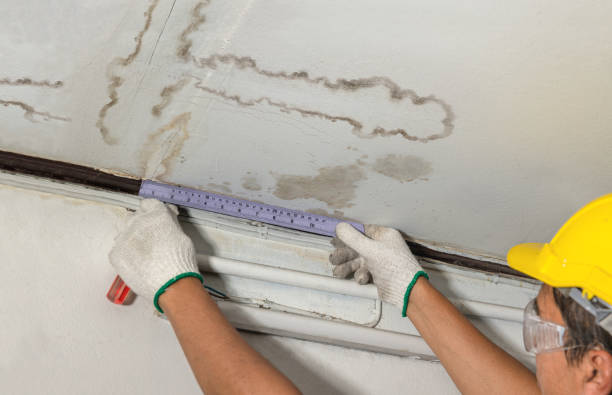 Reliable Water Damage Repair contractor in Little Falls, NJ by Hirex Water Damage